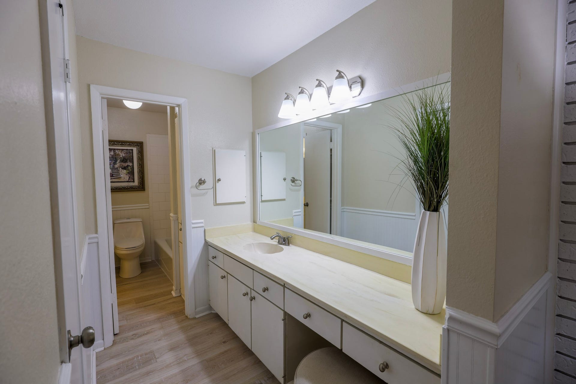 primary sink and vanity area