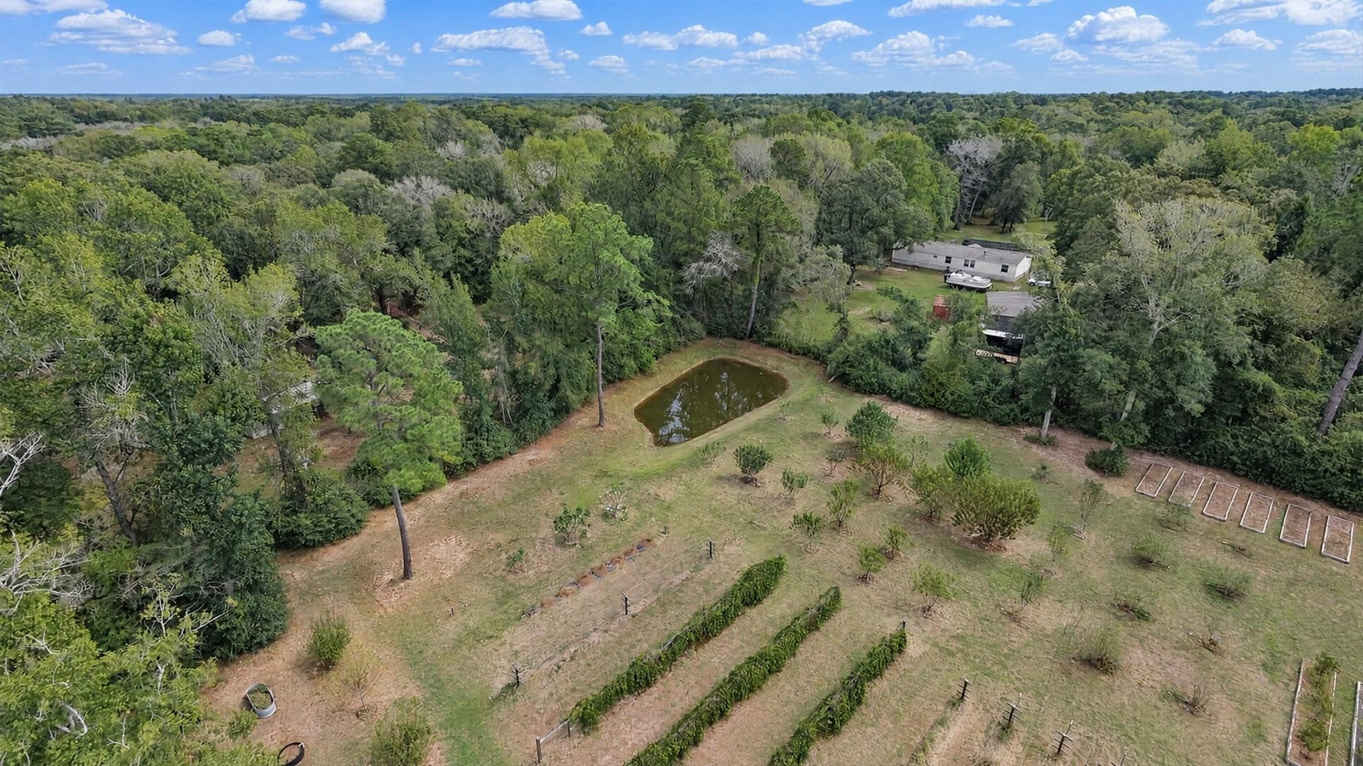 11350 Hillcrest Drive, Conroe, TX 77303 11350 Hillcrest Drive, Conroe, TX 77303