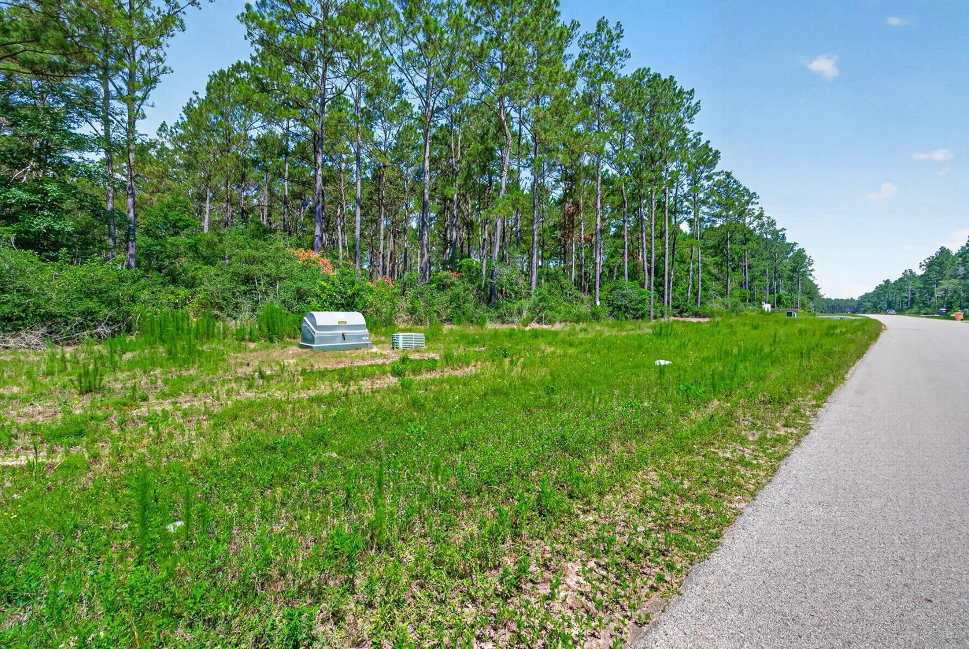 10721 Ruger Road, Willis, TX 77378 10721 Ruger Road, Willis, TX 77378