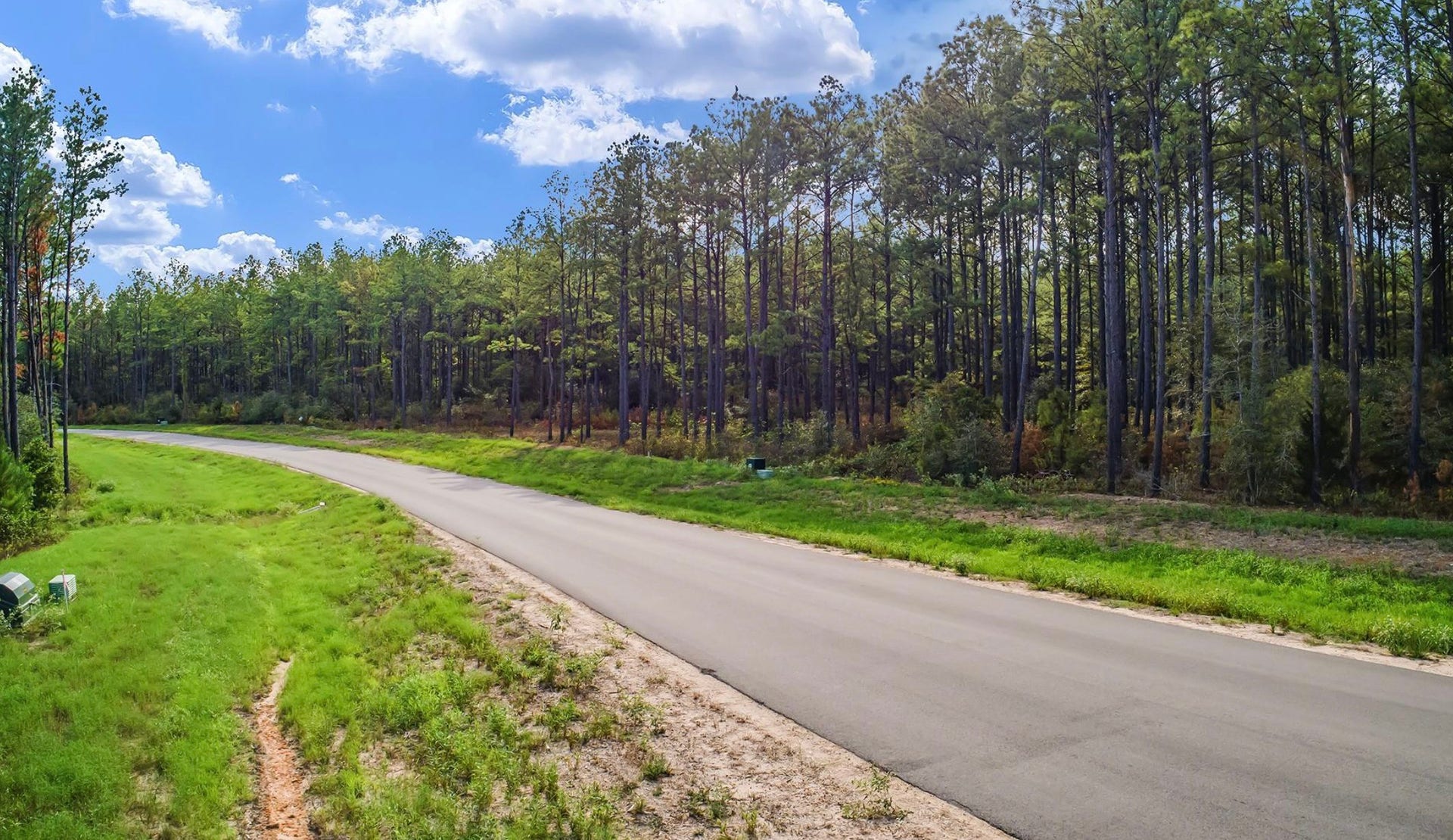 10721 Ruger Road, Willis, TX 77378 10721 Ruger Road, Willis, TX 77378