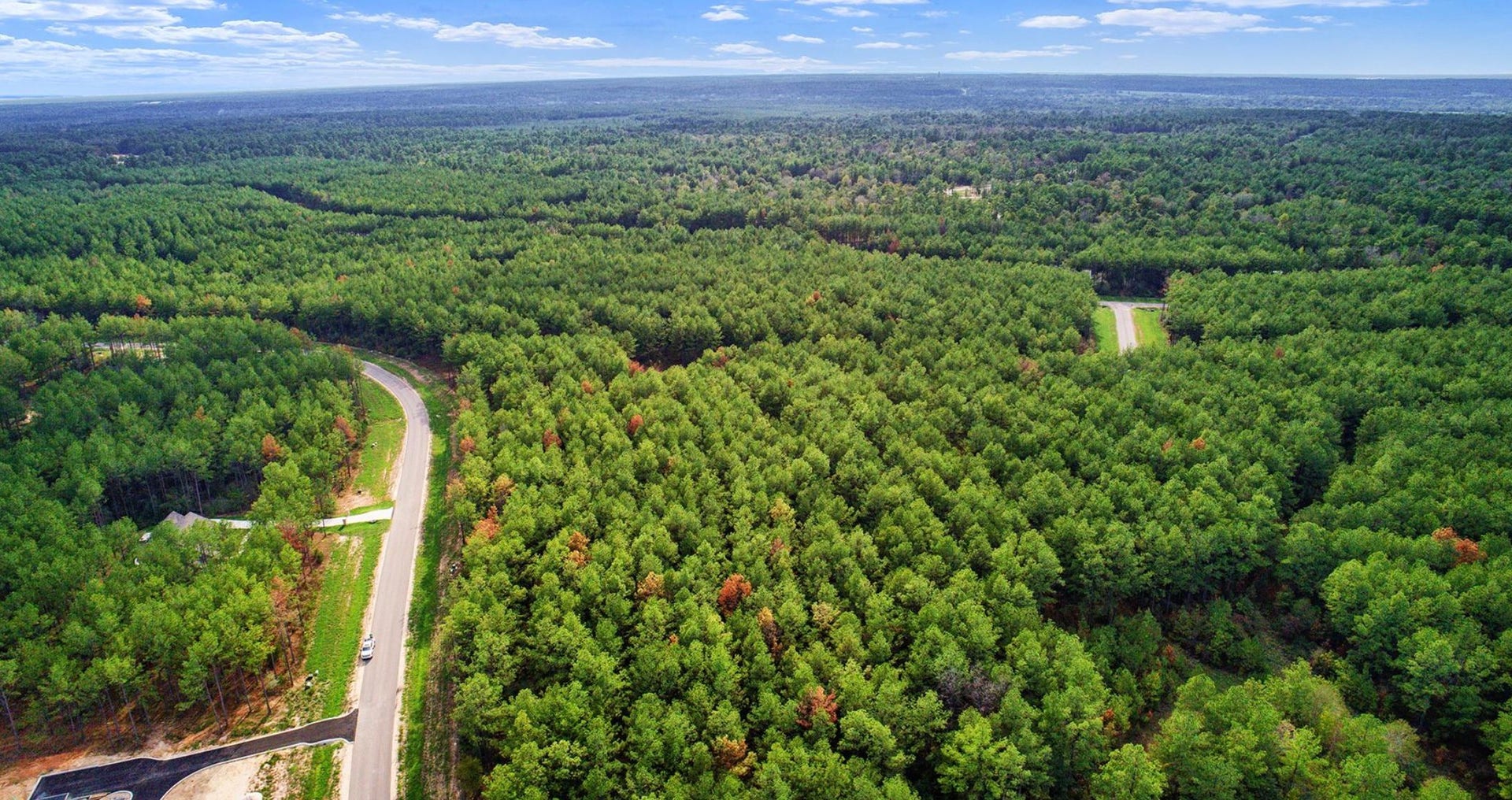 10721 Ruger Road, Willis, TX 77378 10721 Ruger Road, Willis, TX 77378