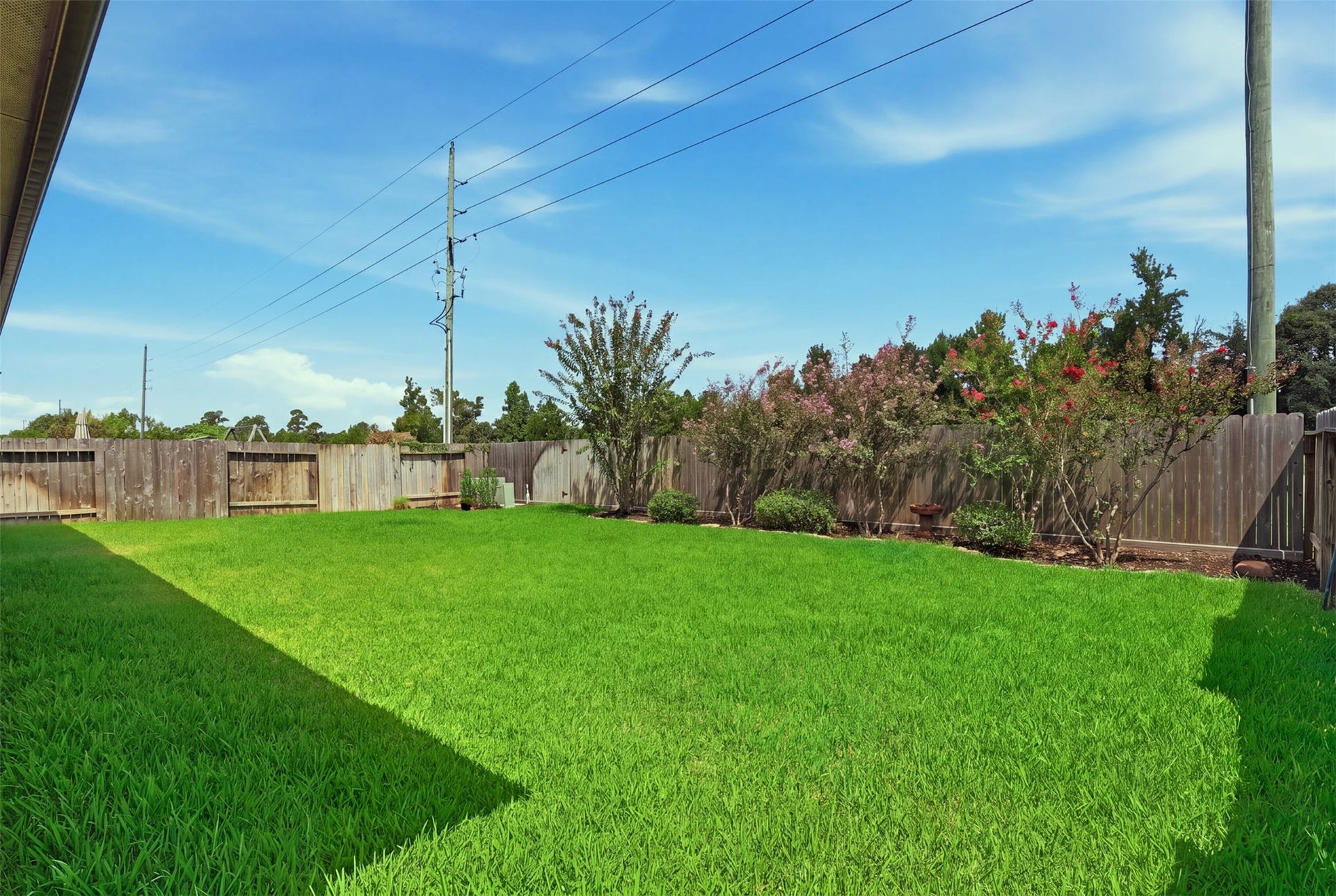 Expansive fenced backyard with lush green space and no rear neighbors.