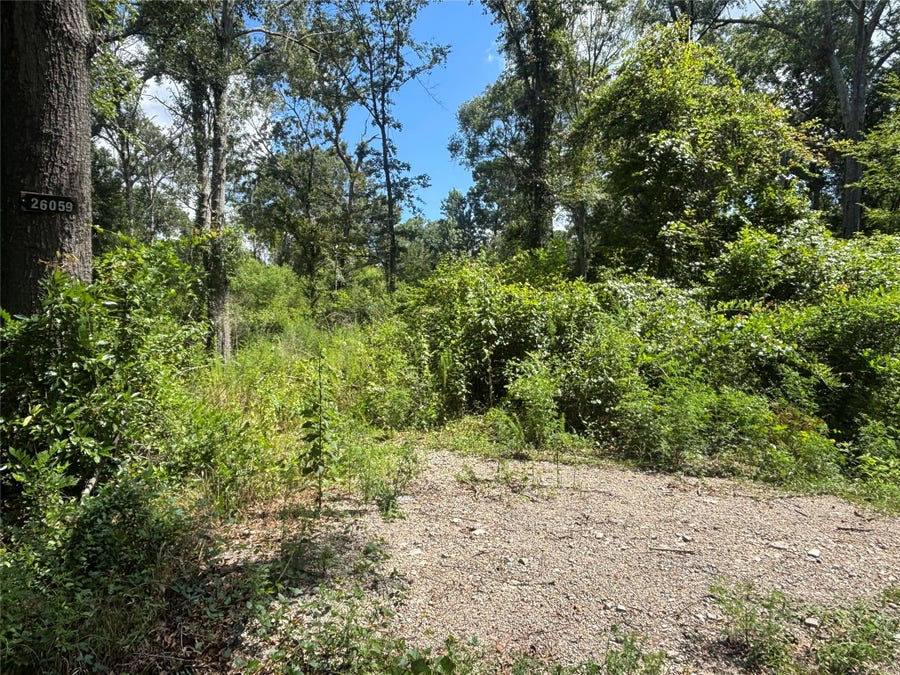 Property photo for 26059 E Christine Drive, Splendora, TX