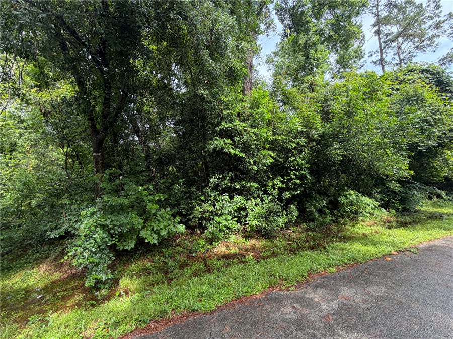 Property photo for Lot 20 Idlewild Road, New Caney, TX