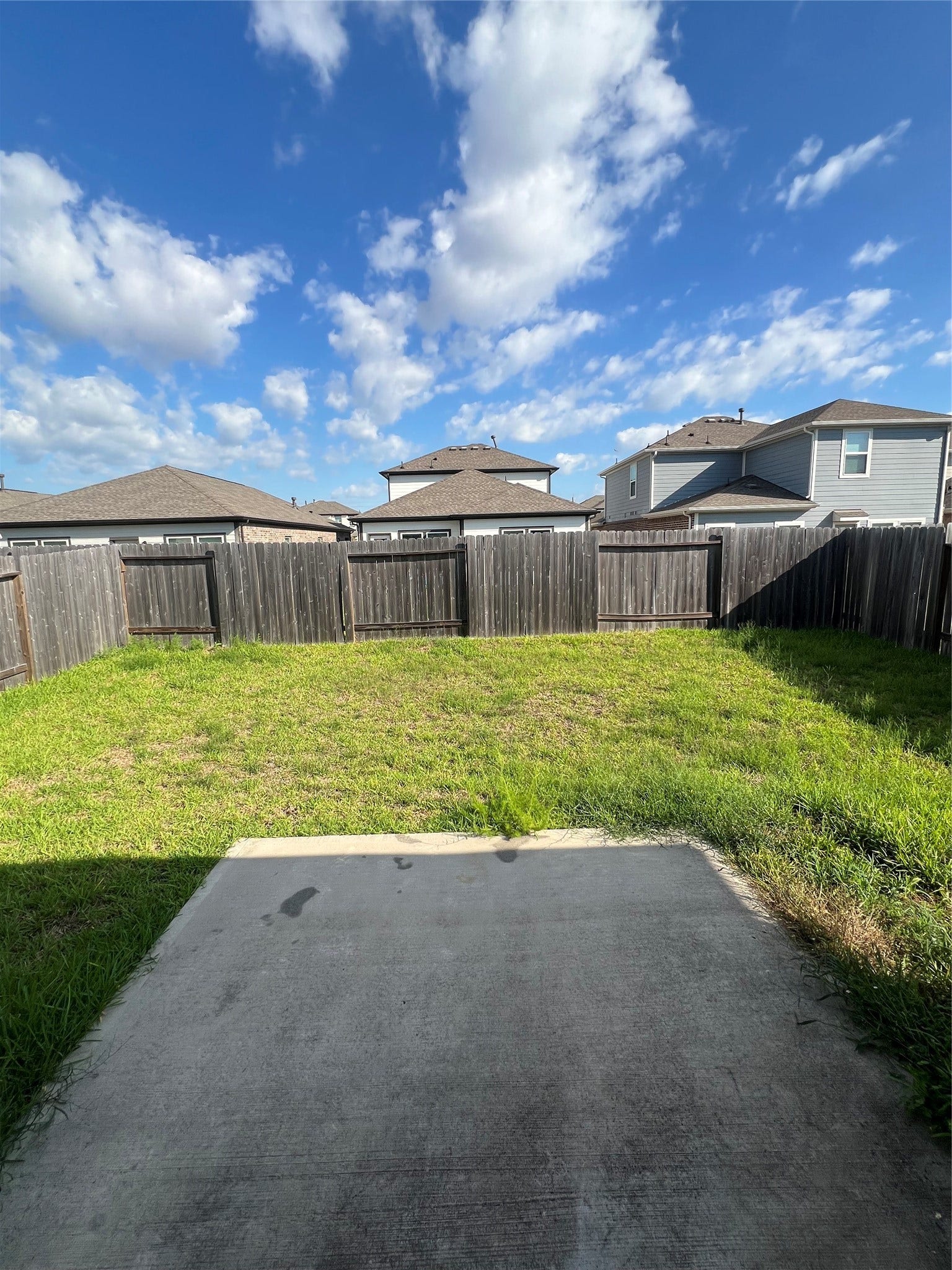 Backyard