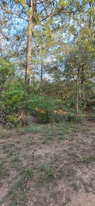 00 Eagle Drive, Waller, TX 77445 Wooded Lot