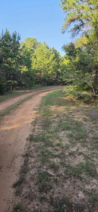 00 Eagle Drive, Waller, TX 77445 Road in front of lot