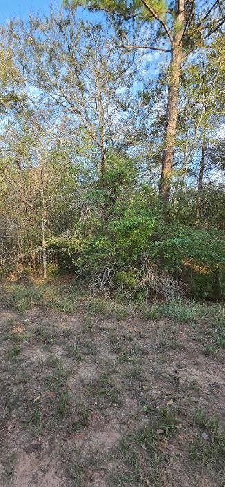 00 Eagle Drive, Waller, TX 77445 Wooded Lot