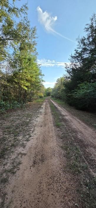 00 Eagle Drive, Waller, TX 77445 Road in front of lot