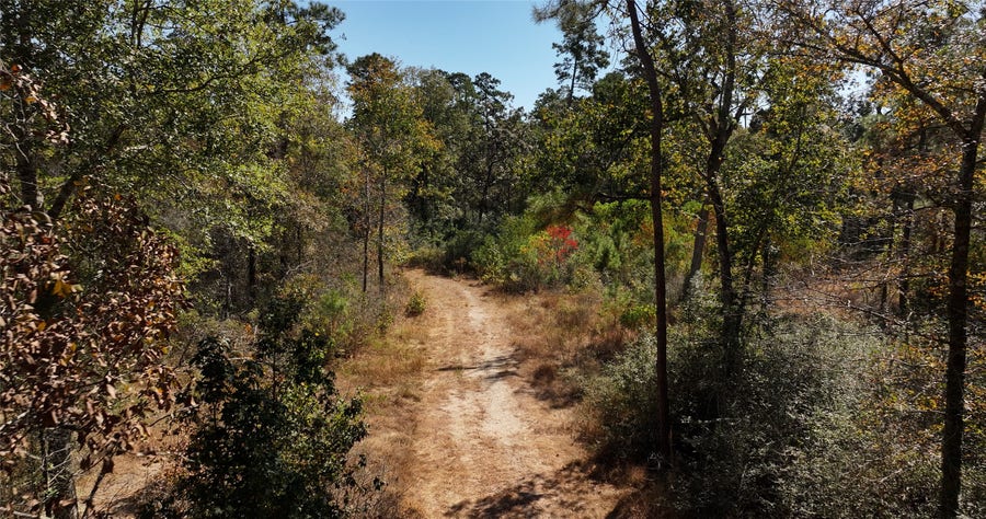 Property photo for 000 tbd Parrish Trail, Montgomery, TX