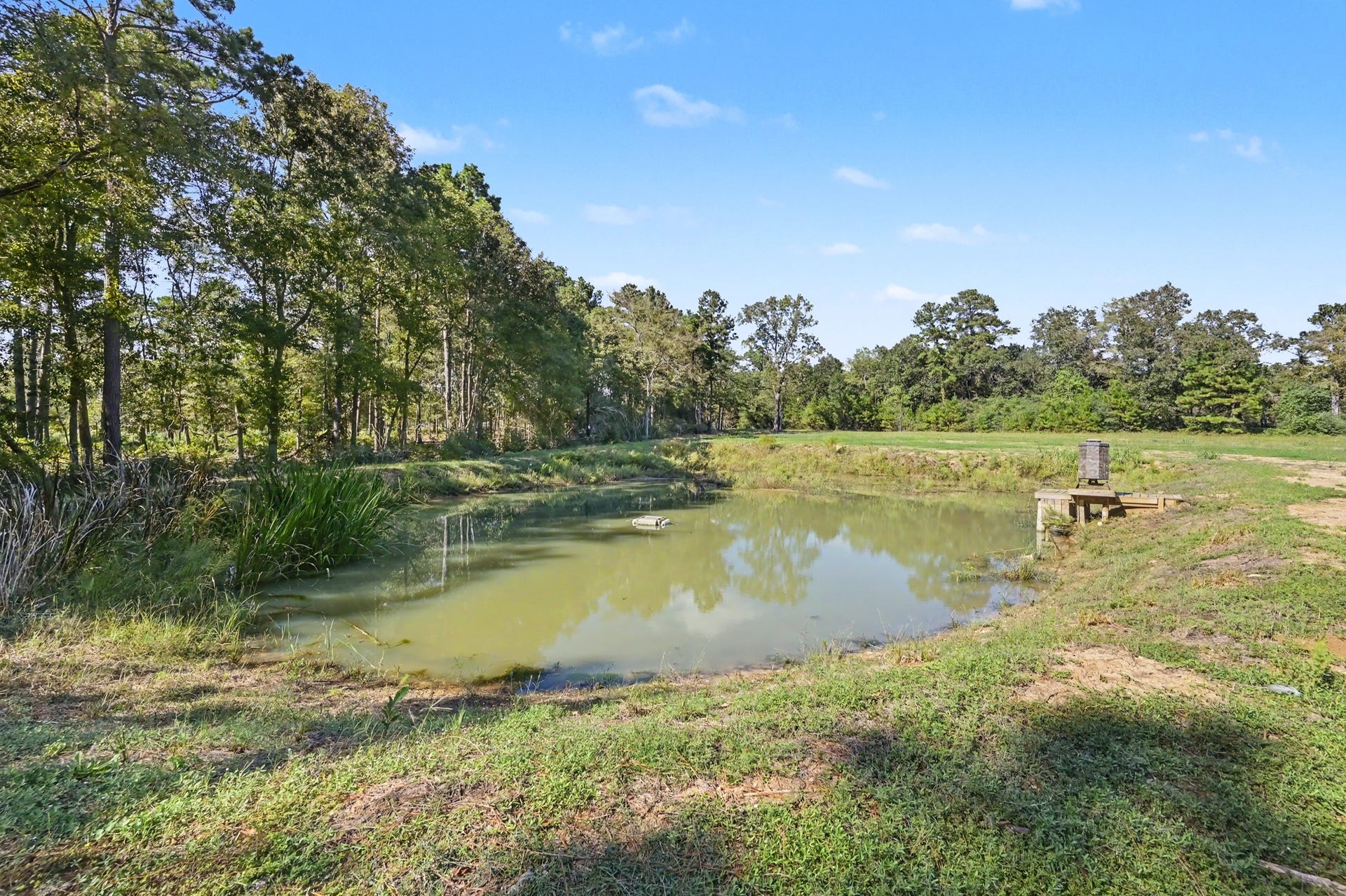 Lot 13 Spring Branch Rd, Montgomery, TX 77316 Original non edited photo.