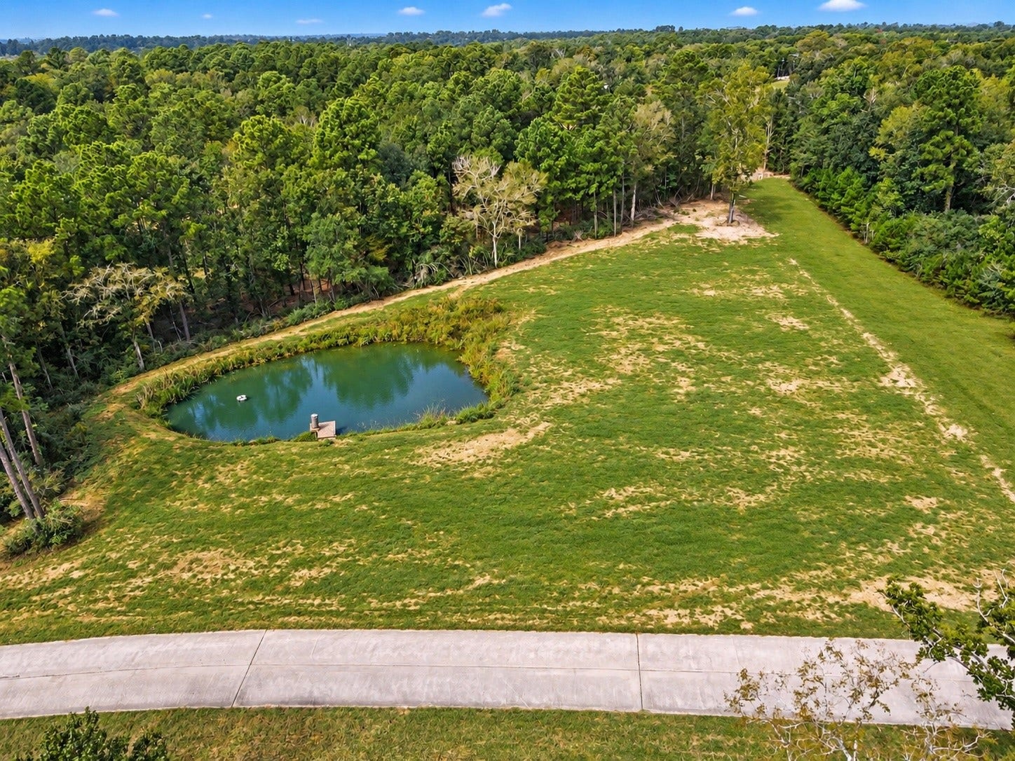 Lot 13 Spring Branch Rd, Montgomery, TX 77316 Edited photo to show pond at it's fullest and additional grass grown.