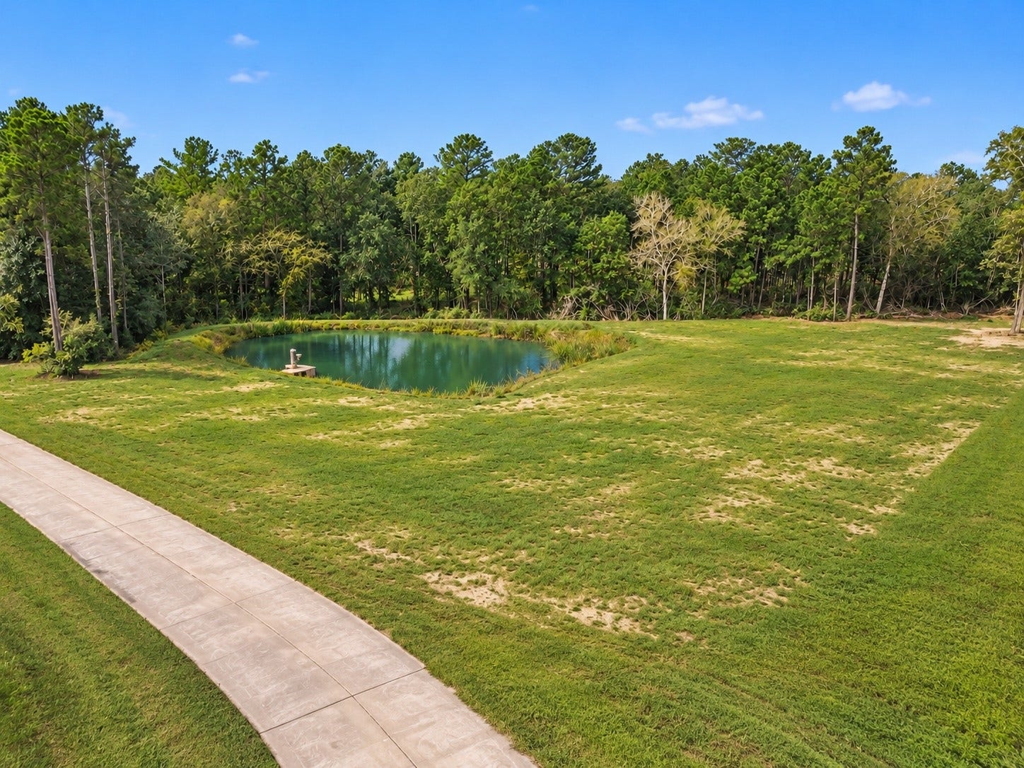 Lot 13 Spring Branch Rd, Montgomery, TX 77316 Edited photo to show pond at it's fullest and additional grass grown.