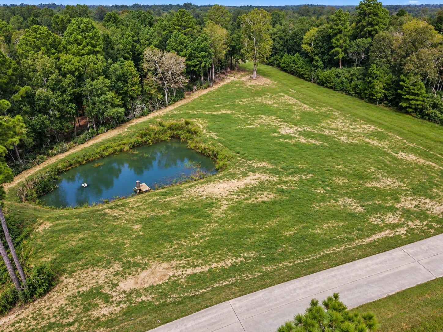Lot 13 Spring Branch Rd, Montgomery, TX 77316 Edited photo to show pond at it's fullest and additional grass grown.