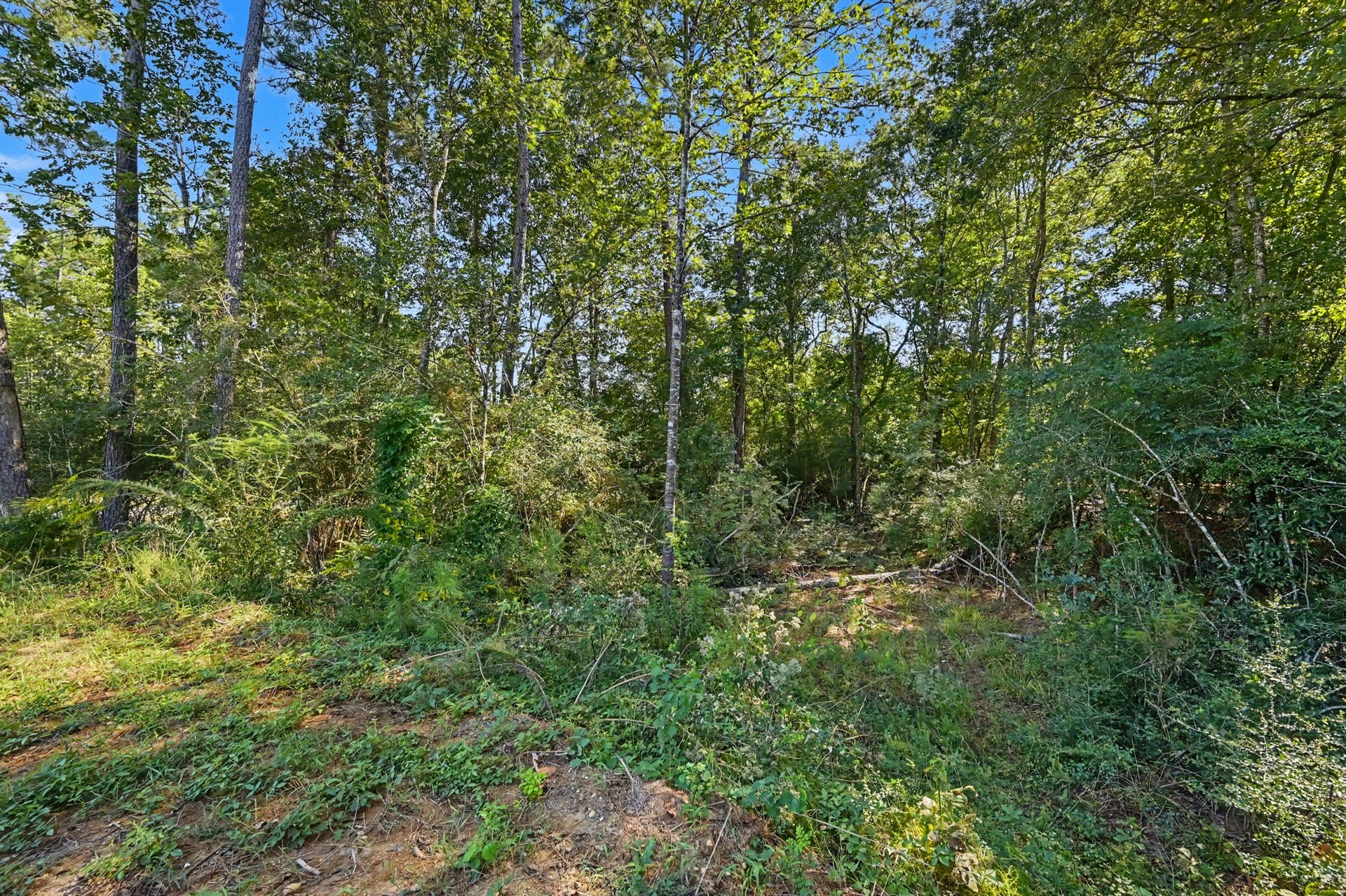 Lot 13 Spring Branch Rd, Montgomery, TX 77316 Additional property uncleared, to the left of the pond