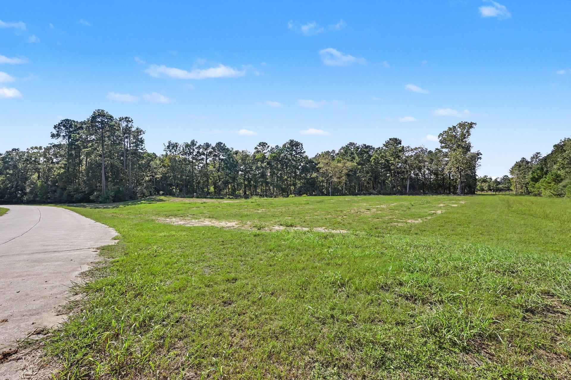 Lot 13 Spring Branch Rd, Montgomery, TX 77316 Ground level shot