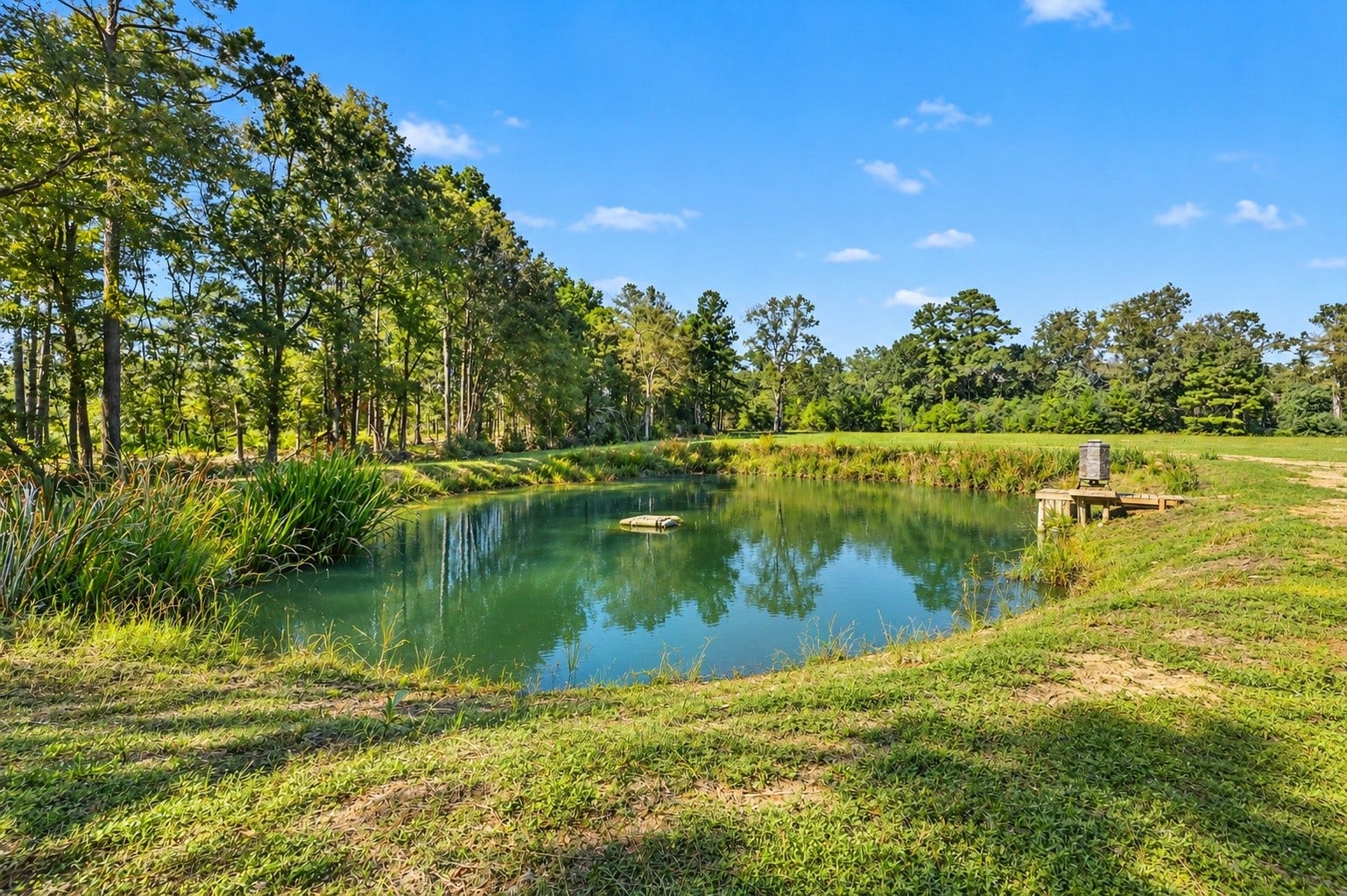 Lot 13 Spring Branch Rd, Montgomery, TX 77316 Edited photo to show pond at it's fullest and additional grass grown. The pond has looked this good when maintained after rain.
