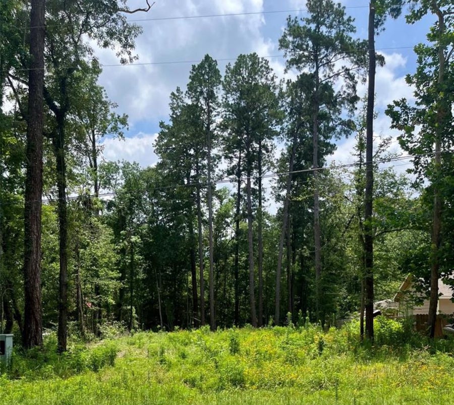 Property photo for 10820 Royal York Drive, Conroe, TX