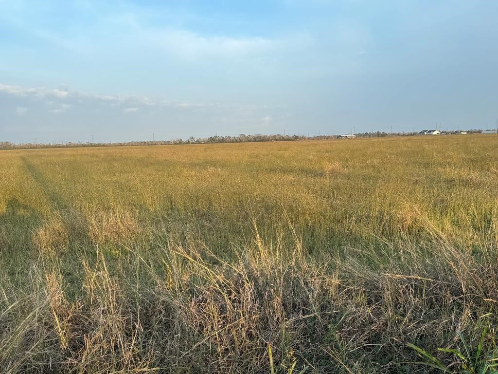 40 ACRES COUNTY ROAD 45, Angleton, TX 77515 40 ACRES COUNTY ROAD 45, Angleton, TX 77515
