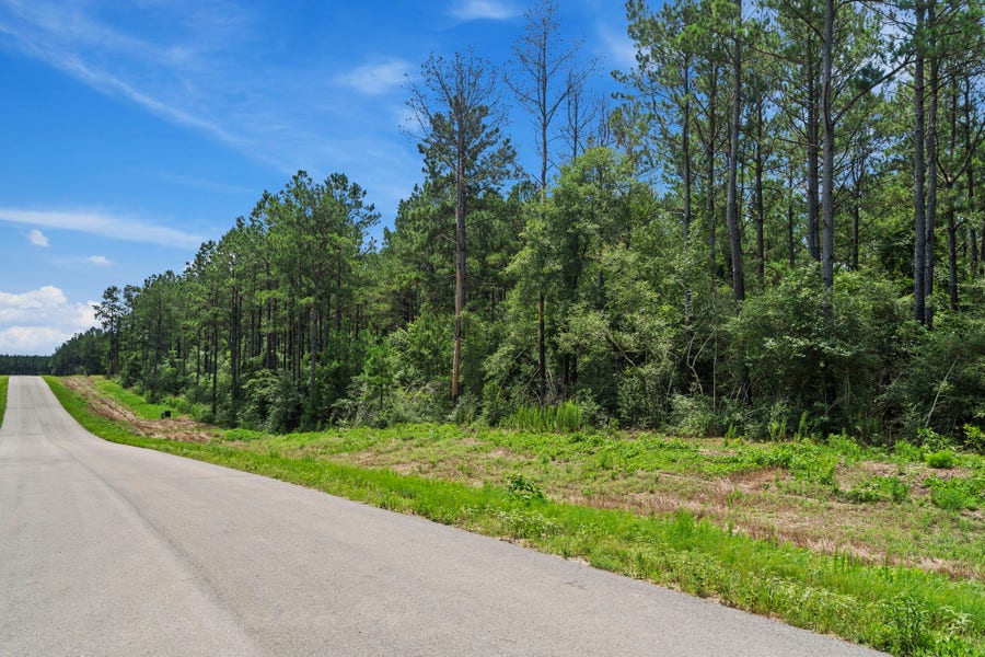 Property photo for 16303 Golden Wood Court, Willis, TX