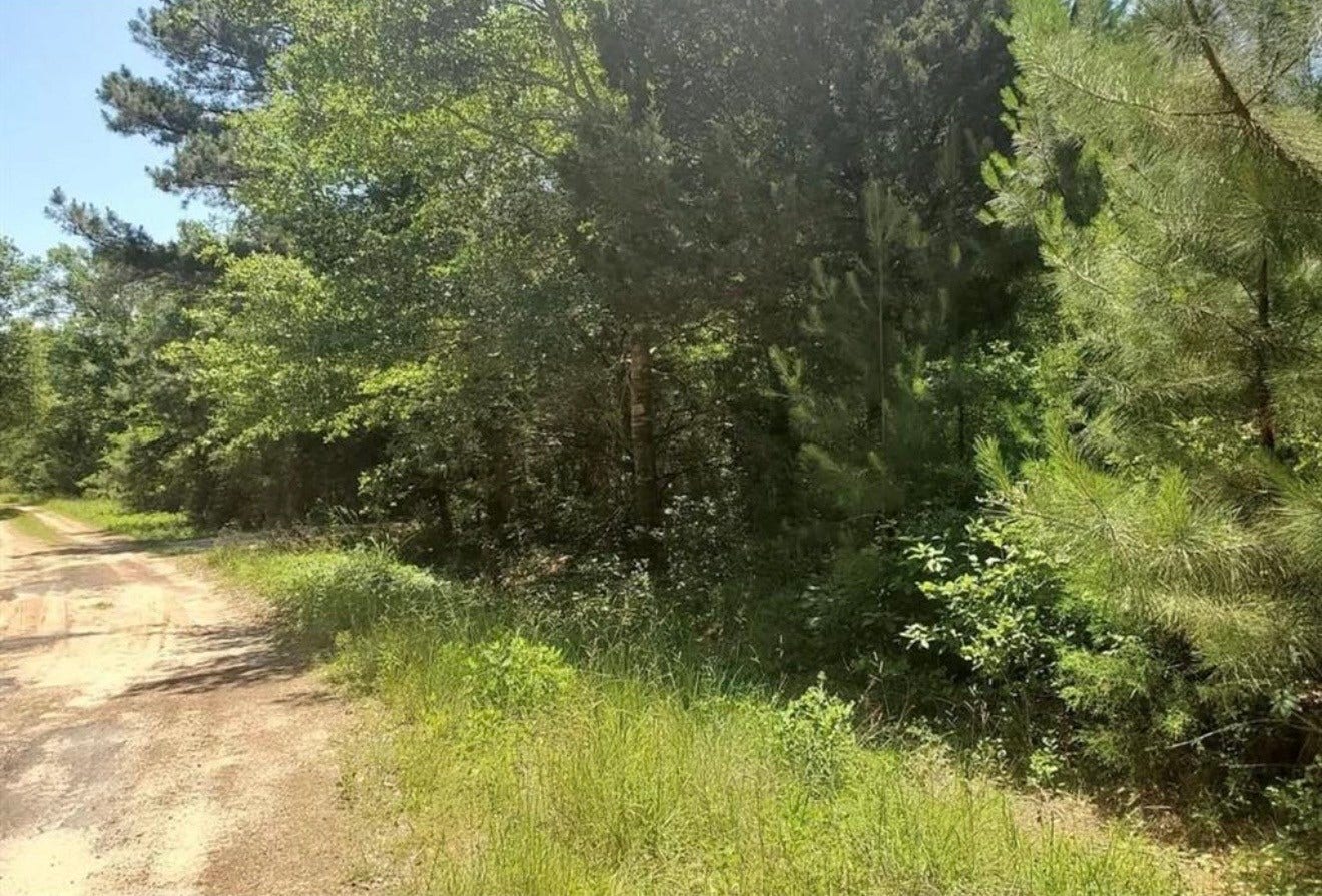 00 Park View, Hempstead, TX 77445