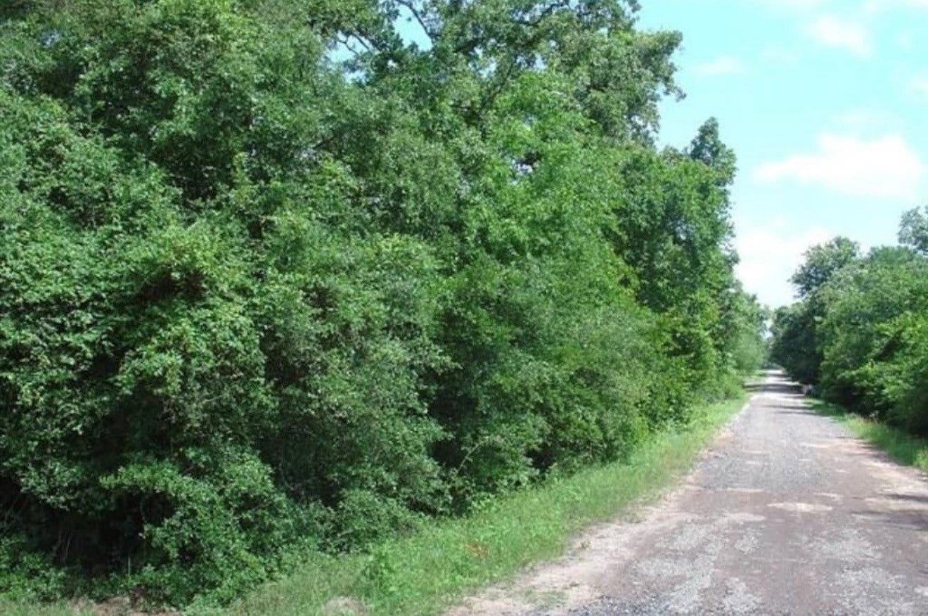 00 Park View, Hempstead, TX 77445
