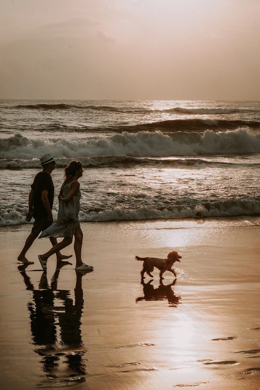 Walking on the beach every morning & evening...keeps that ticker tickin'.
