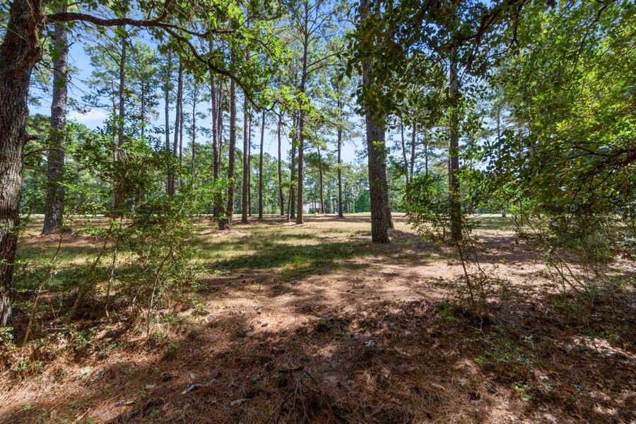 Property photo for 37432 Clubhouse Lane, Montgomery, TX