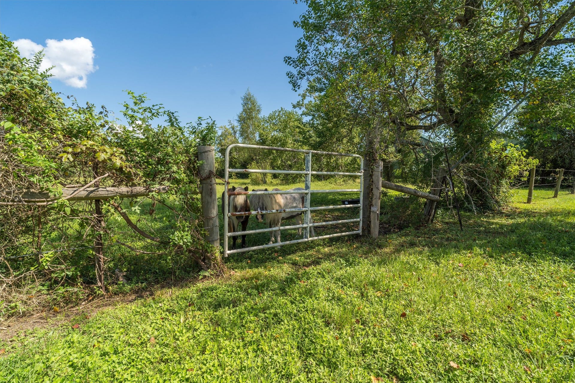 2150 Hewitt Street, League City, TX 77573 2150 Hewitt Street, League City, TX 77573