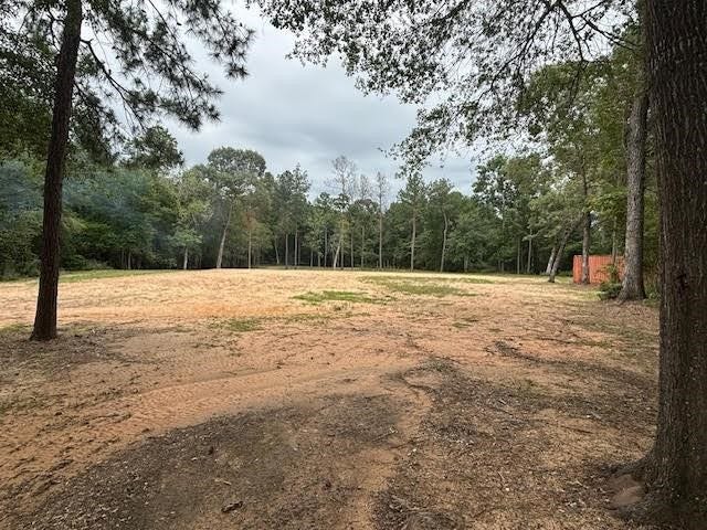 Property photo for 28171 Joseph Rd, Hockley, TX