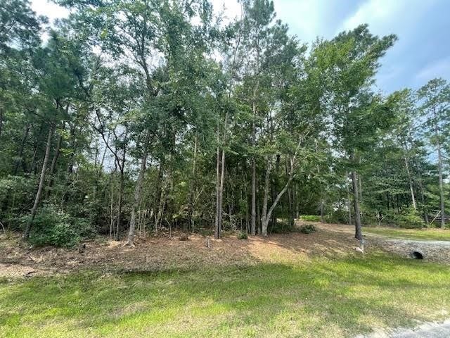 28171 Joseph Rd, Hockley, TX 77447 28171 Joseph Rd, Hockley, TX 77447