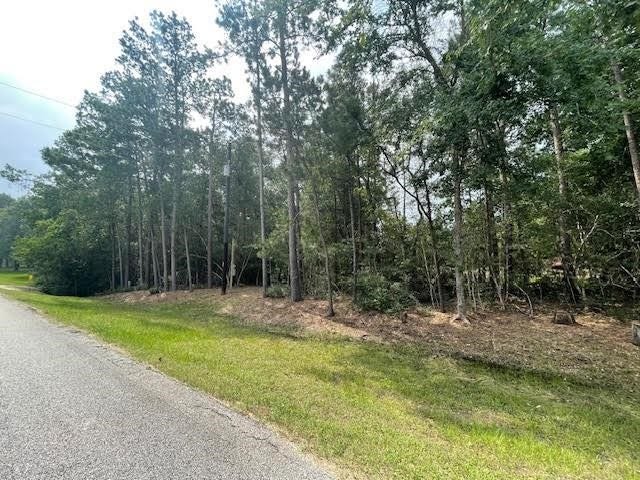 28171 Joseph Rd, Hockley, TX 77447 28171 Joseph Rd, Hockley, TX 77447