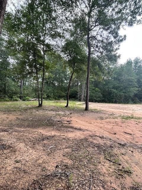 28171 Joseph Rd, Hockley, TX 77447 28171 Joseph Rd, Hockley, TX 77447