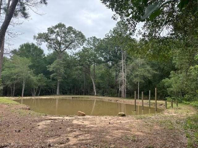 28171 Joseph Rd, Hockley, TX 77447 28171 Joseph Rd, Hockley, TX 77447
