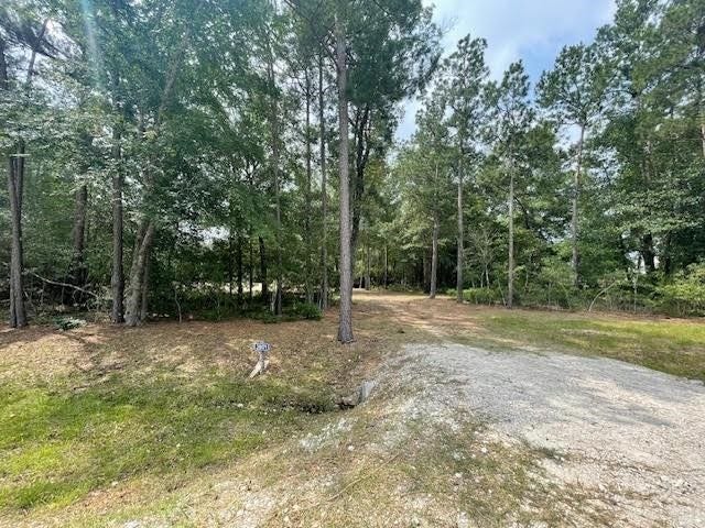 28171 Joseph Rd, Hockley, TX 77447 28171 Joseph Rd, Hockley, TX 77447