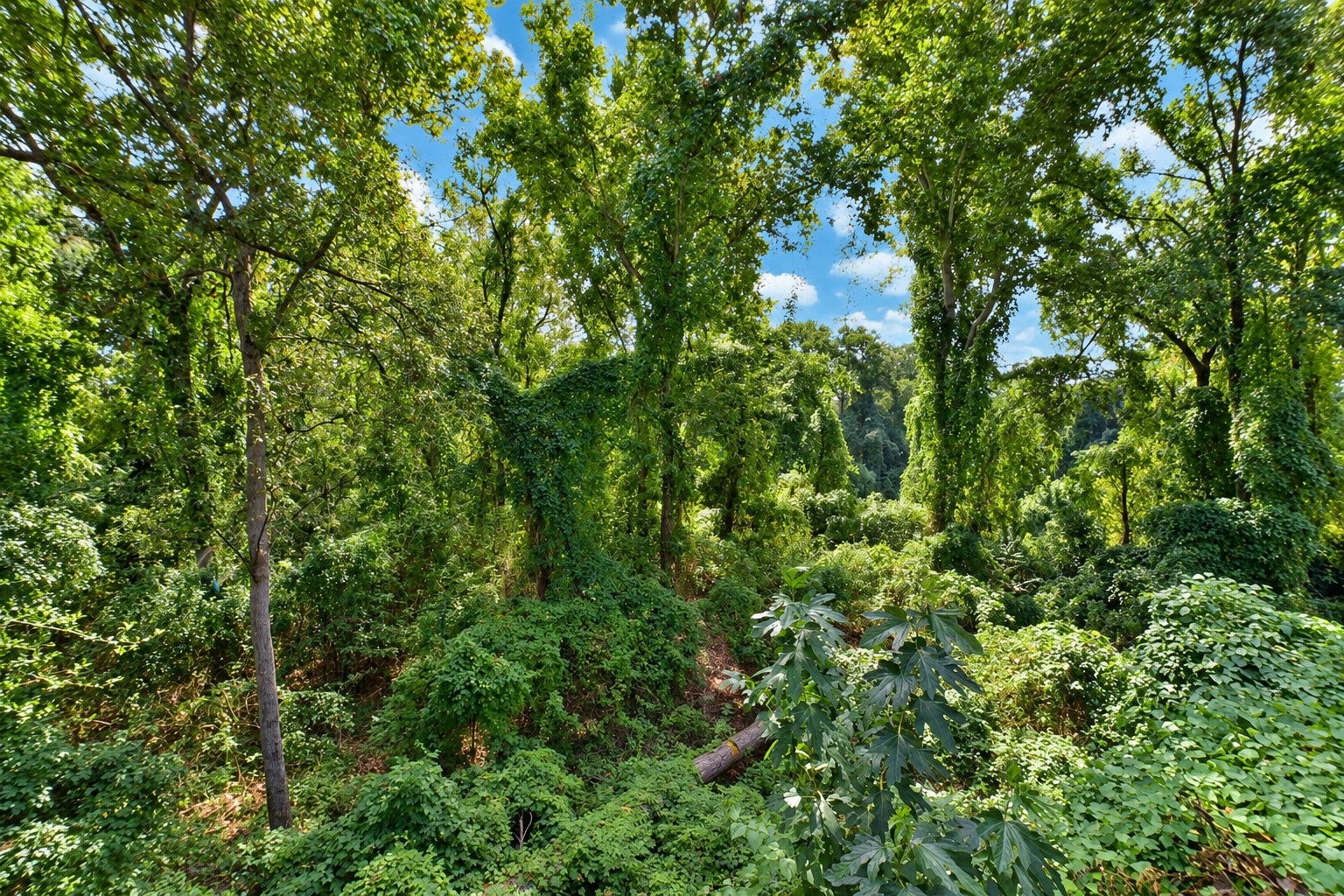 12625 Memorial Drive, #177, Houston, TX 77024 12625 Memorial Drive, #177, Houston, TX 77024