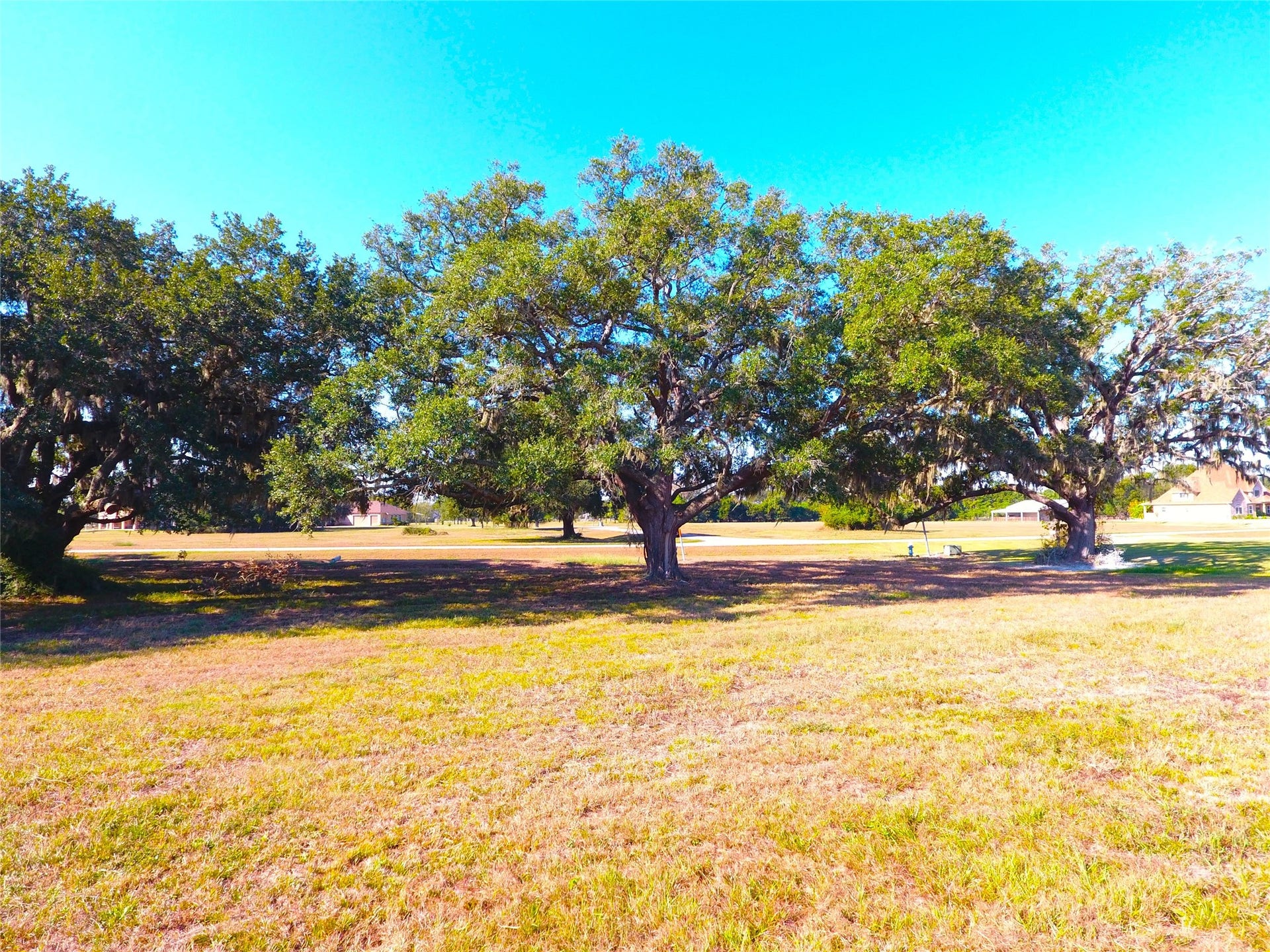 615 Lily Lane, Rosharon, TX 77583 615 Lily Lane, Rosharon, TX 77583