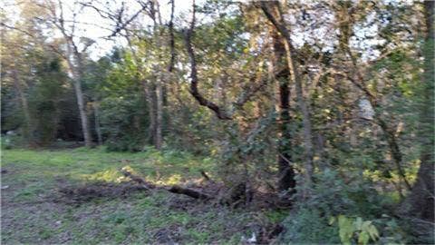 Property photo for 0000 Danover Street, Katy, TX