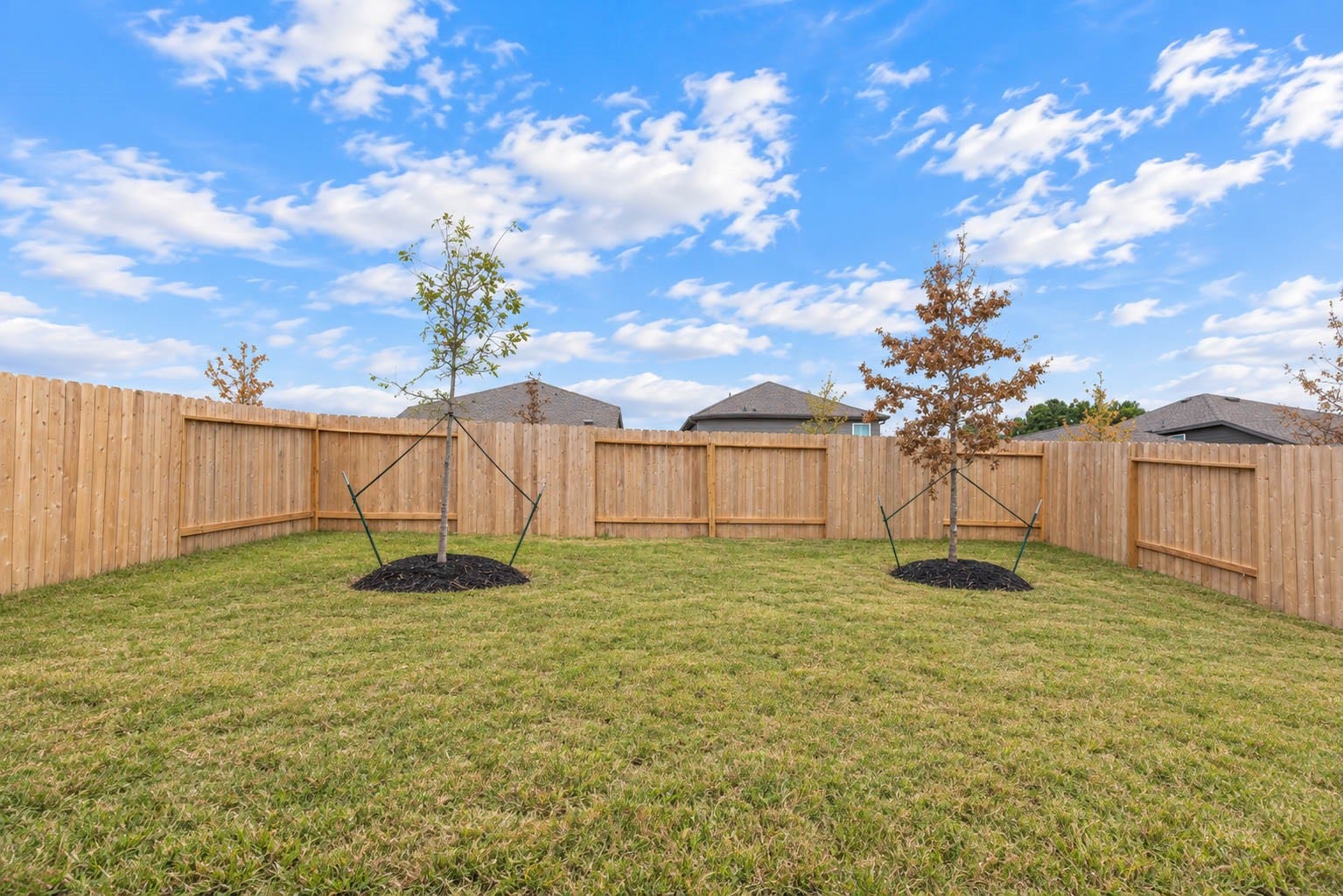 15010 Tremaine Court, Conroe, TX 77316 15010 Tremaine Court, Conroe, TX 77316