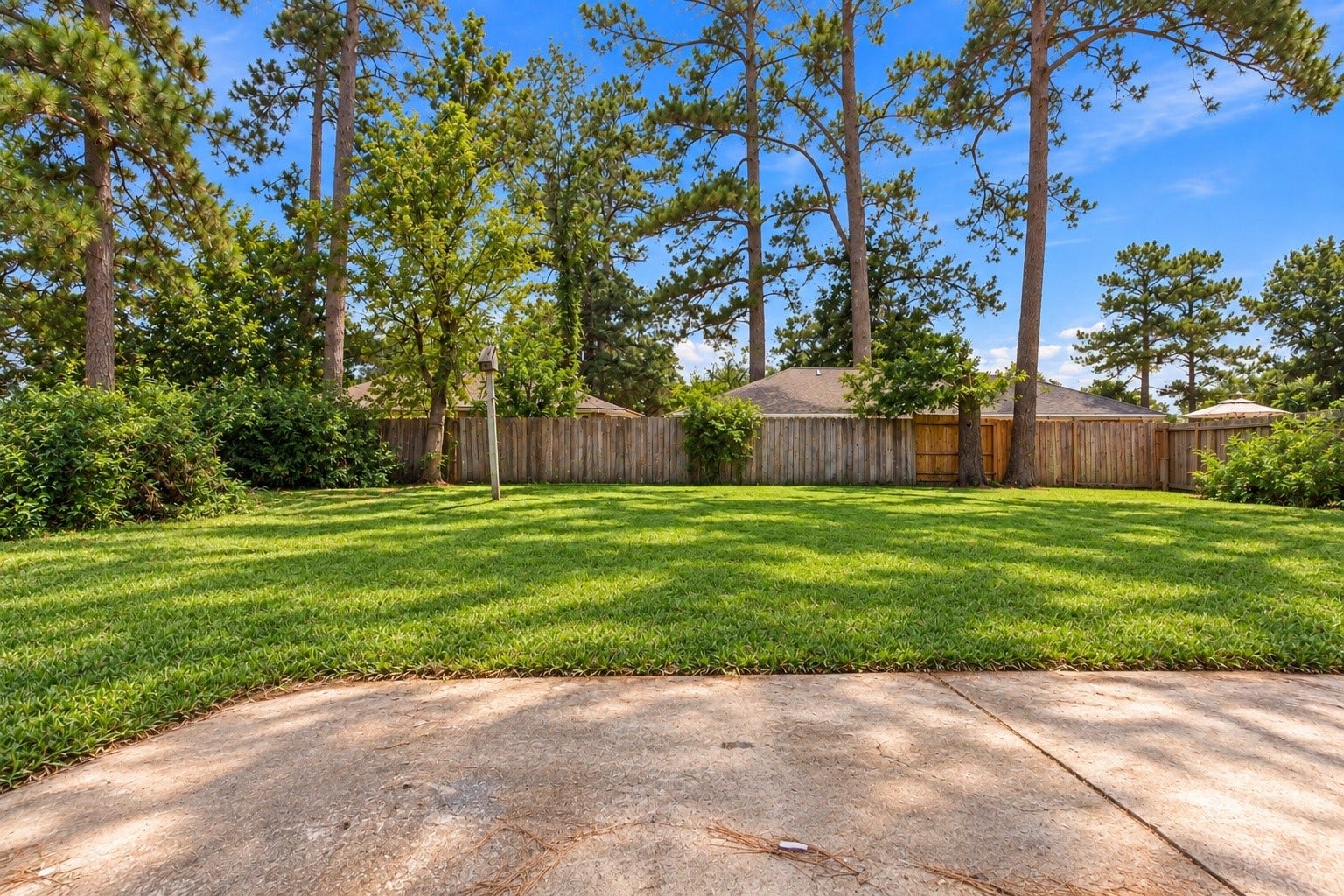 23123 Cranberry Trail, Spring, TX 77373 The large and spacious backyard!