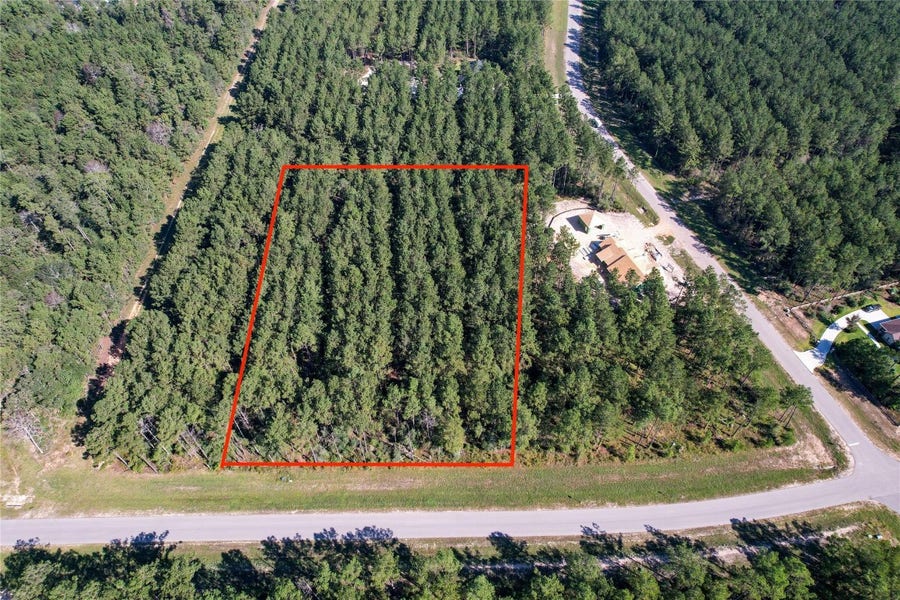 Property photo for 15336 Red Hawk Road, Willis, TX