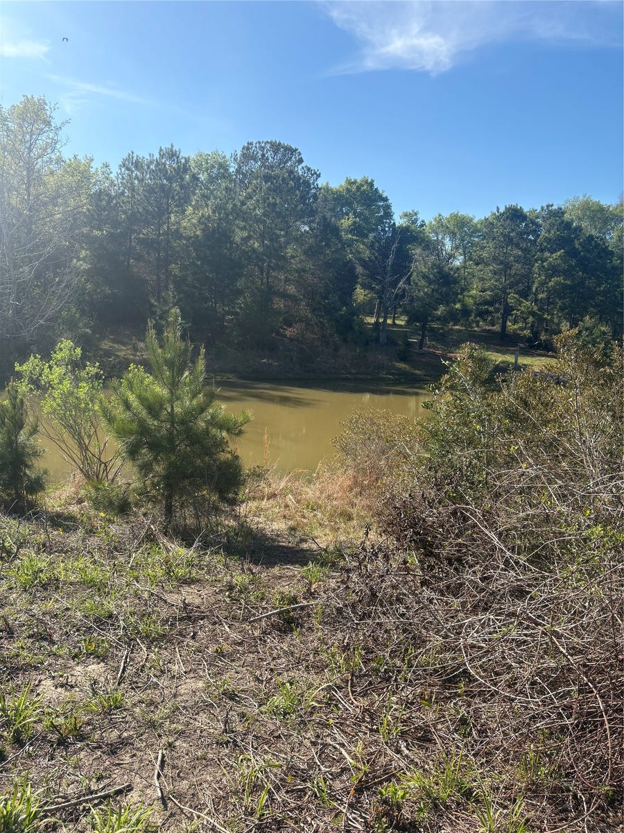 Property photo for 26770 Lake Shore Drive, Hempstead, TX