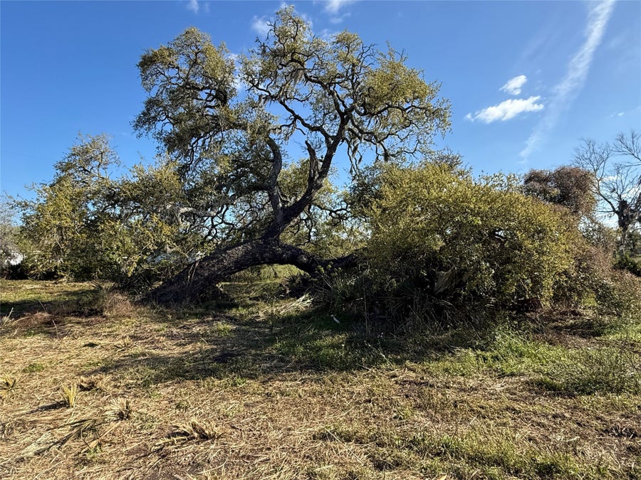 Property photo for 0 County Road 319, Brazoria, TX