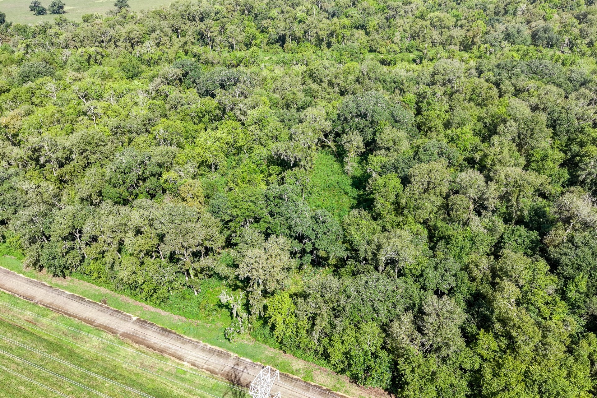 248 Middle Bayou Trail, Angleton, TX 77515 248 Middle Bayou Trail, Angleton, TX 77515