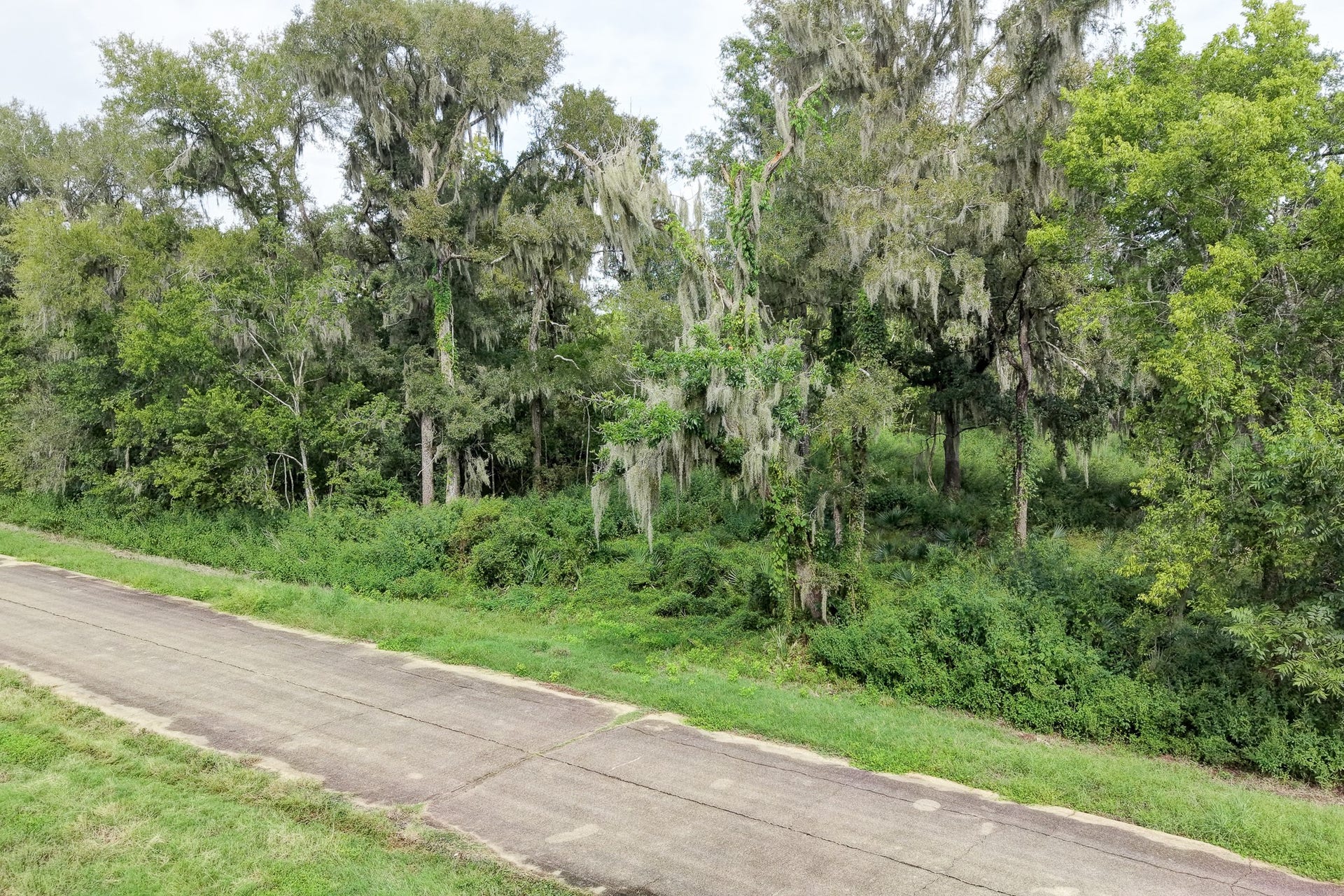 248 Middle Bayou Trail, Angleton, TX 77515 248 Middle Bayou Trail, Angleton, TX 77515