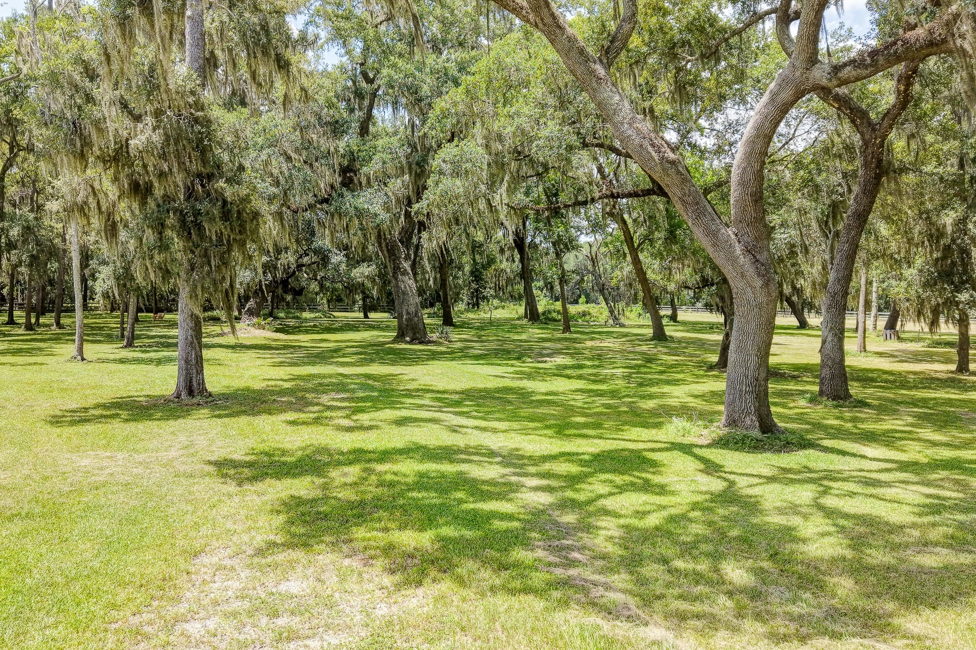 248 Middle Bayou Trail, Angleton, TX 77515 248 Middle Bayou Trail, Angleton, TX 77515