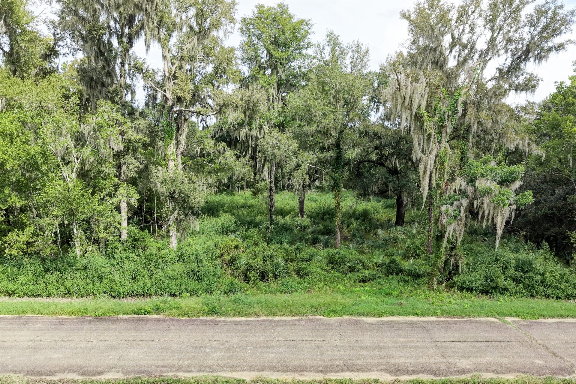 248 Middle Bayou Trail, Angleton, TX 77515 248 Middle Bayou Trail, Angleton, TX 77515