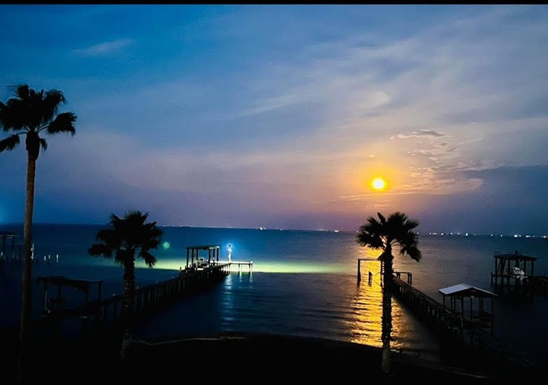 1309 8th Street, San Leon, TX 77539 The first light of day gently peeks over the horizon, painting the sky in soft shades of gold, pink, and lavender. Imagine sipping your morning coffee on the deck, watching the world awaken in this serene, breathtaking view.