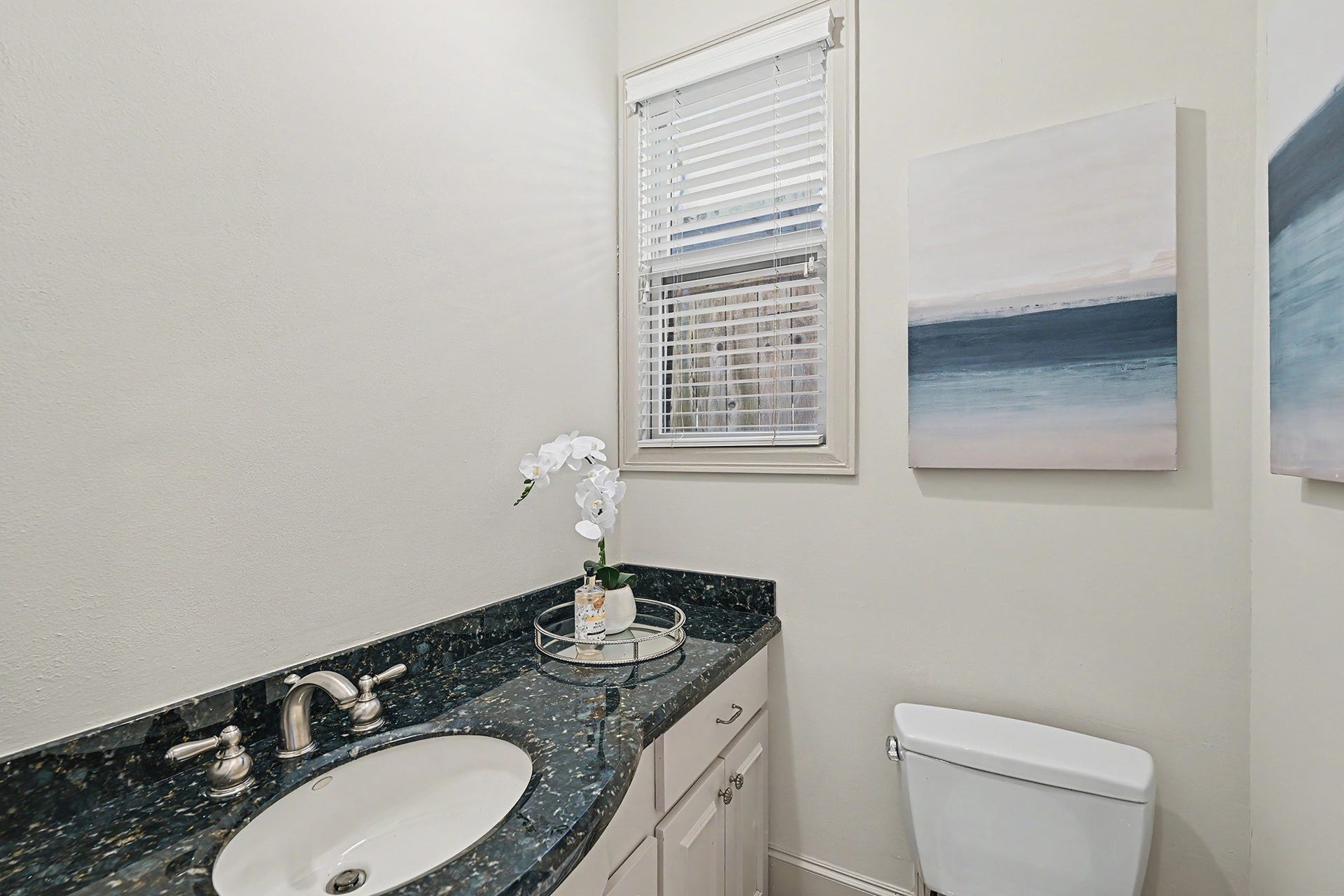 2410 Mimosa Drive, Houston, TX 77019 Downstairs power bath