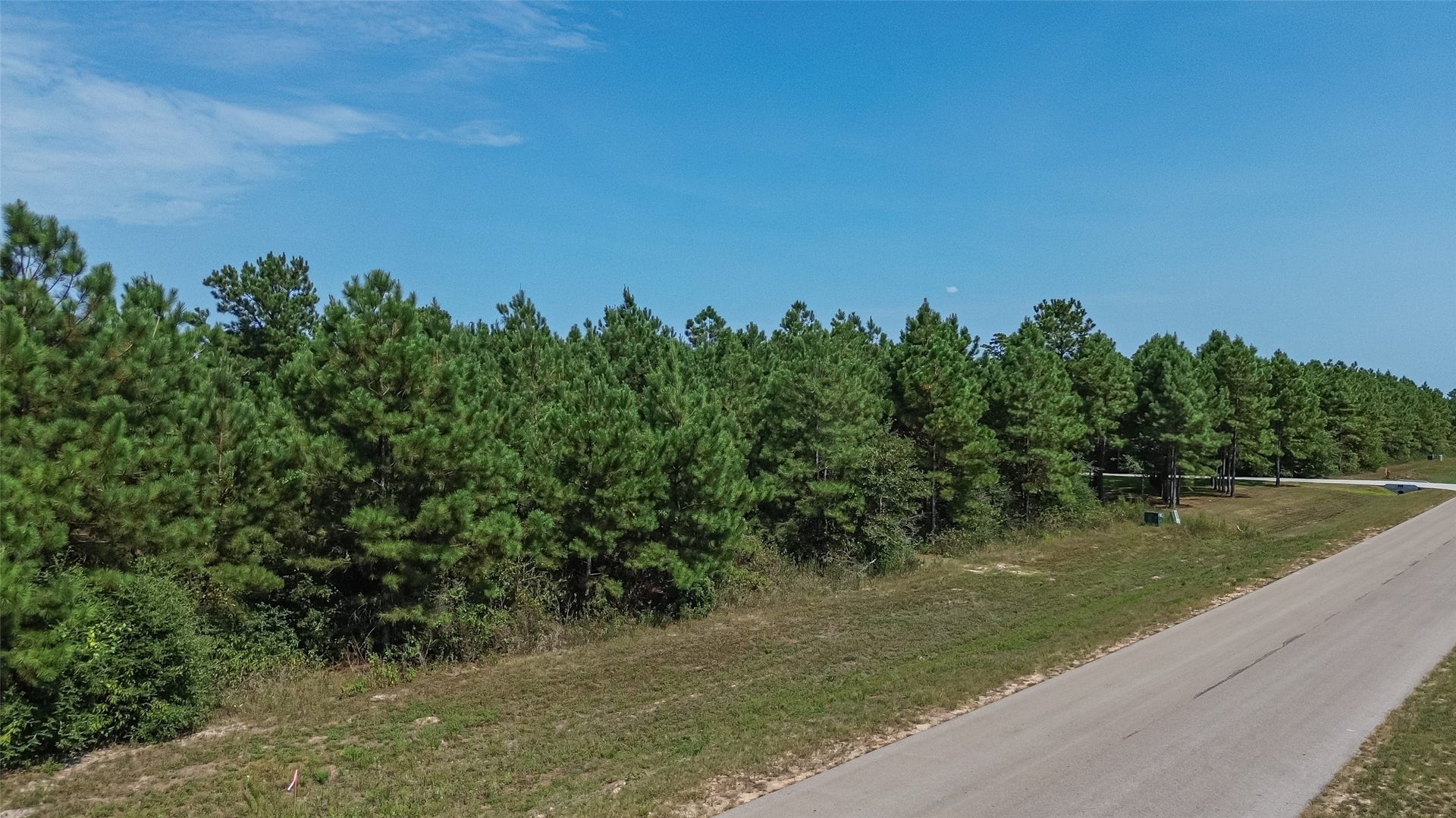 11997 High Branch Way, Willis, TX 77378
